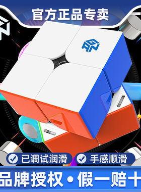 GAN251Mpro二阶磁力魔方249V2二阶 251air竞速专业比赛用益智玩具