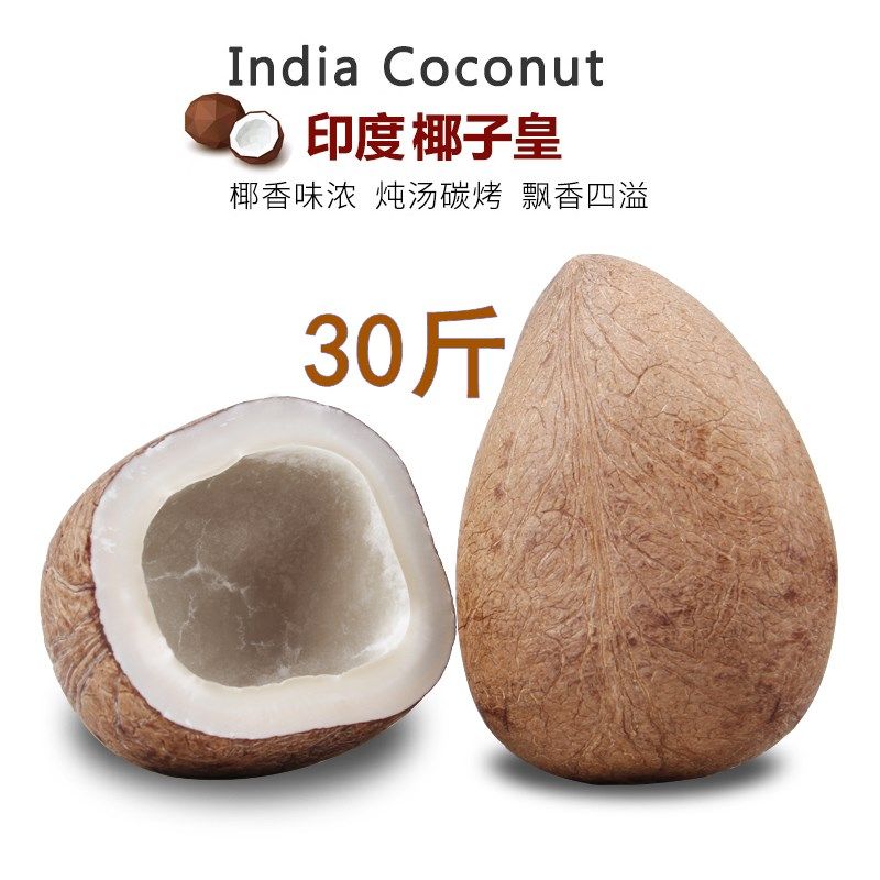 印度椰子皇新鲜煲炖汤甜品海椰皇海底椰王餐饮商用炖煲汤30斤包邮