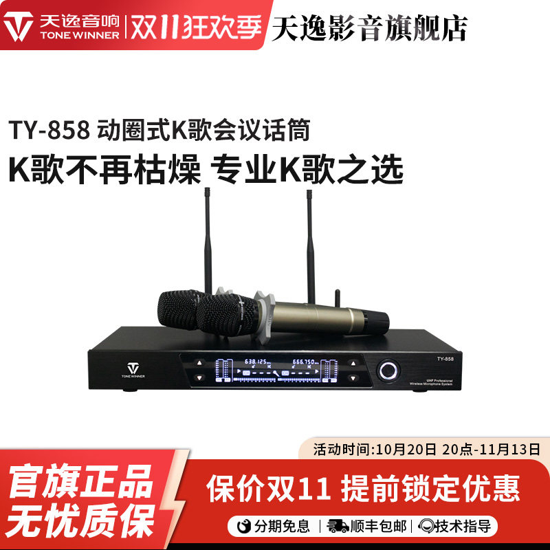Winner/天逸TY-658/858话筒U段KTV会议卡拉OK