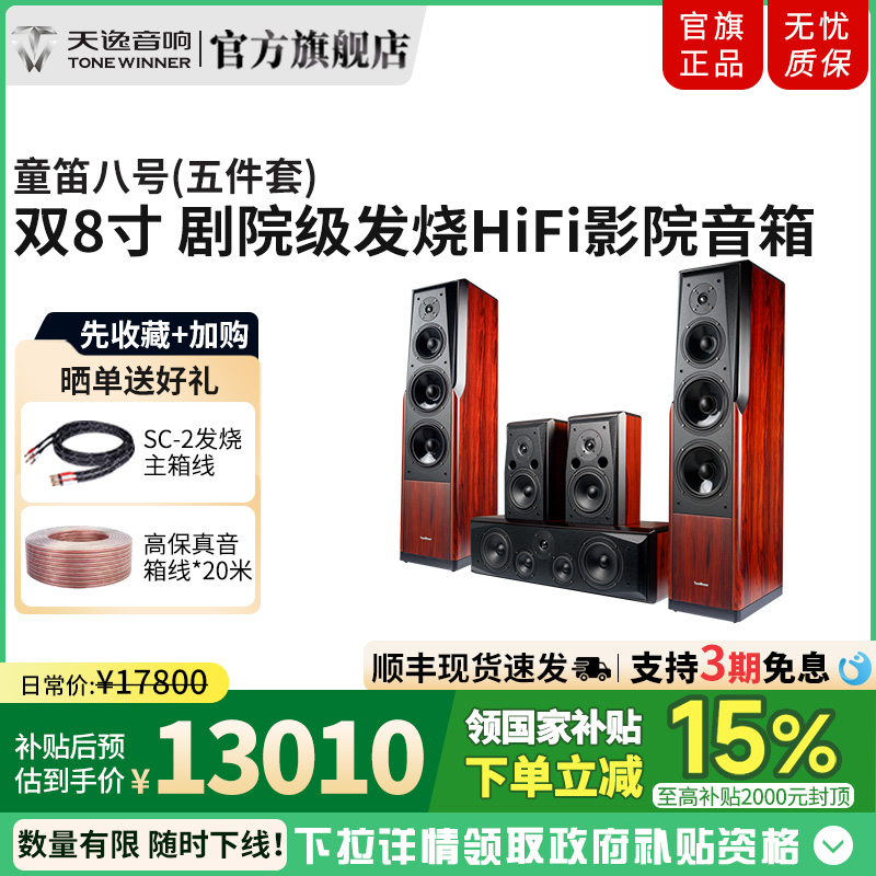 Winner/天逸 童笛八号 TD-8家庭影院音响套装高保真落地式音箱