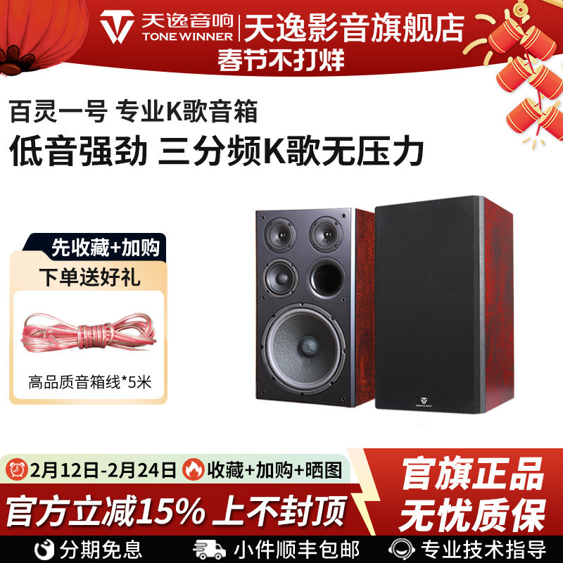 Winner/天逸 BL-1百灵一号卡拉OK音箱专业KTV家庭K歌卡包音箱