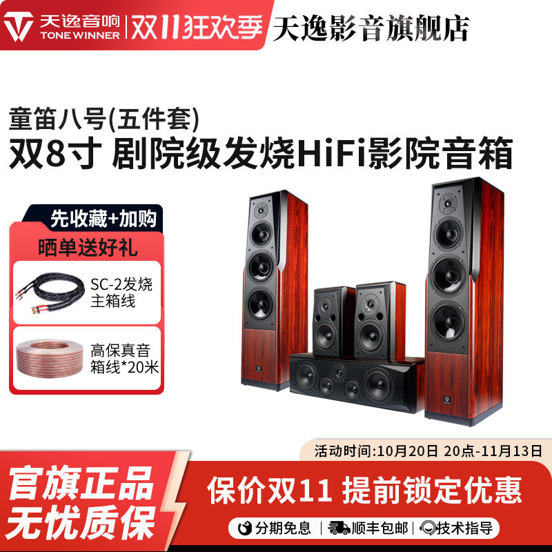 Winner/天逸 童笛八号 TD-8家庭影院音响套装高保真落地式音箱