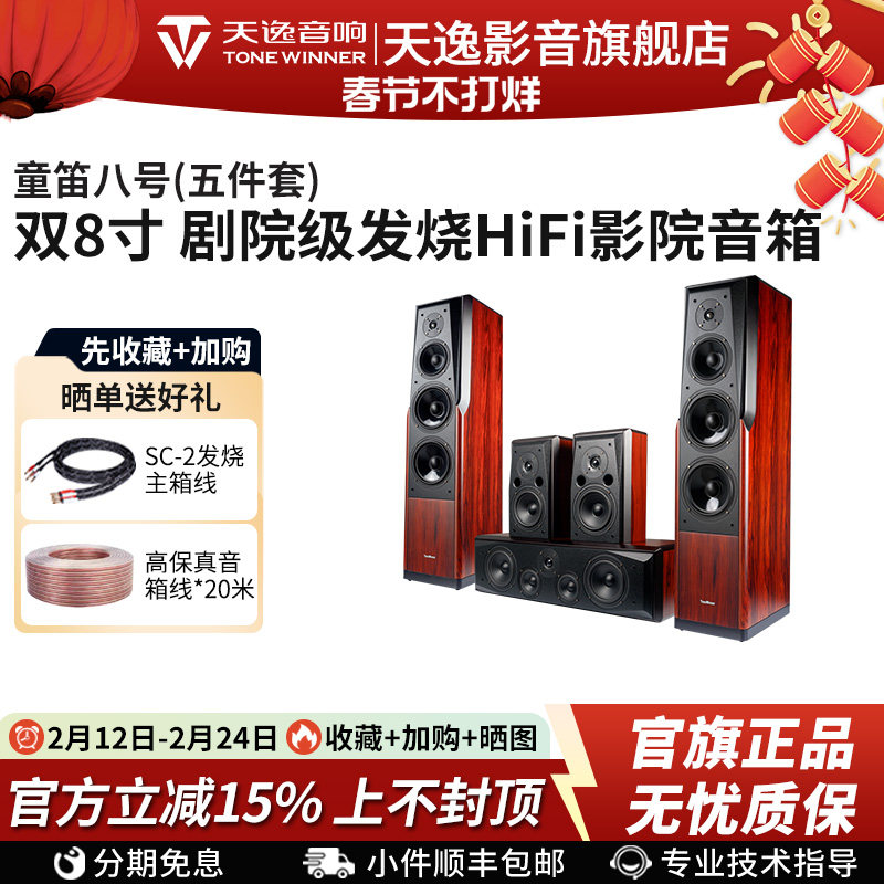 Winner/天逸 童笛八号 TD-8家庭影院音响套装高保真落地式音箱