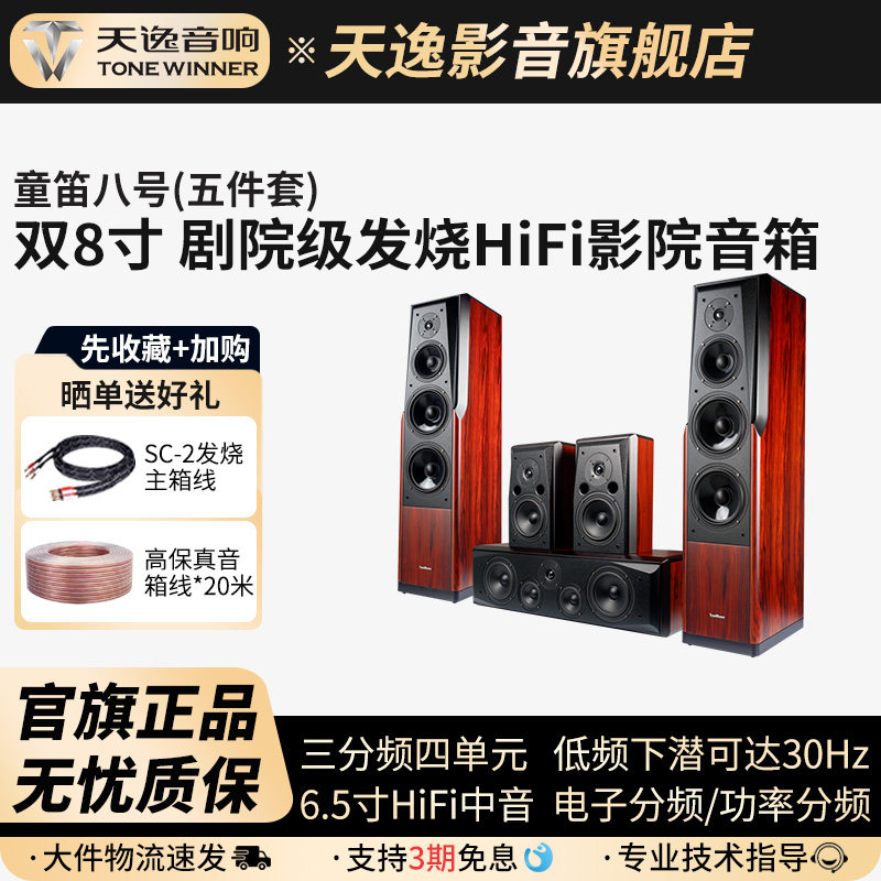 Winner/天逸 童笛八号 TD-8家庭影院音响套装高保真落地式音箱