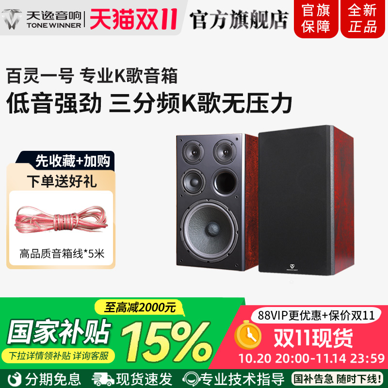 Winner/天逸 BL-1百灵一号卡拉OK音箱专业KTV家庭K歌卡包音箱