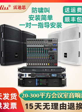 Ridiss20-300平方会议室音响系统多媒体教室培训酒店大堂壁挂音箱