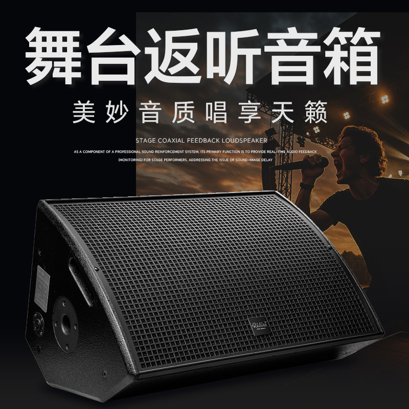 雷迪思12寸/15寸专业返听音箱