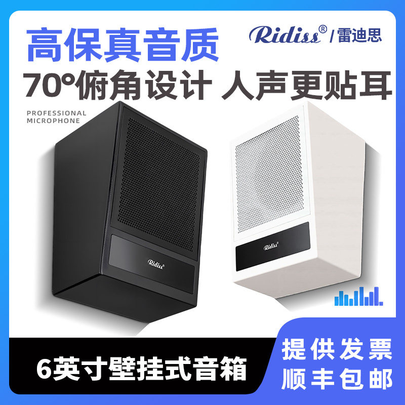 Ridiss 6寸会议壁挂hifi音箱多媒体广播系统培训教室音响
