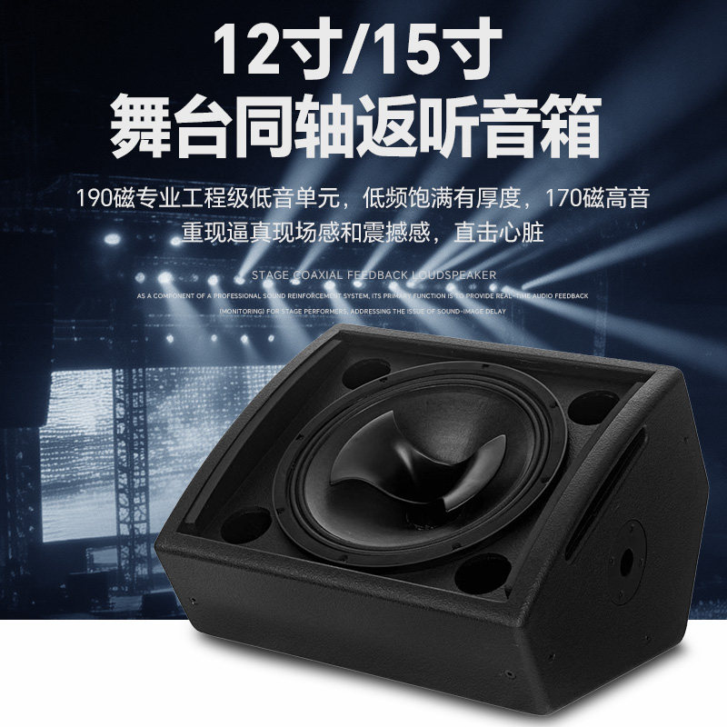 雷迪思 12寸/15寸舞台同轴返听音箱演出乐队排练台唇监听返送音响