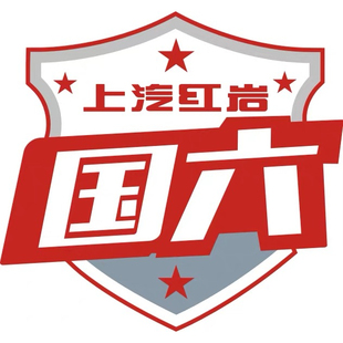 红岩杰狮C100C500M100新金刚M500前面板国六排放标志贴纸贴花车贴