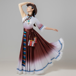 藏族舞蹈服新款 大摆裙女半身裙艺考表演服 民族舞蹈练功服藏族服装