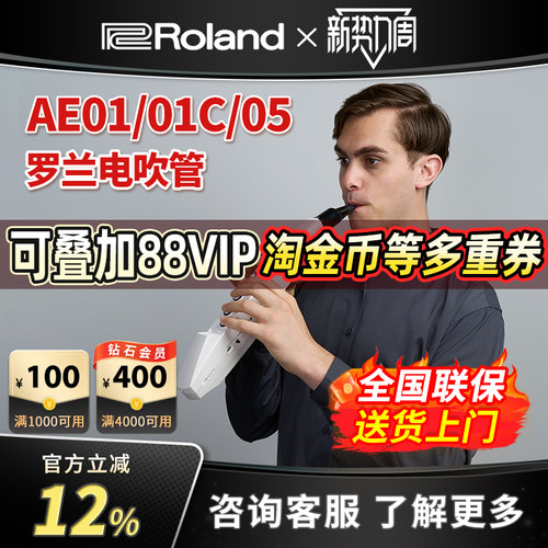 罗兰AE01C电吹管Roland