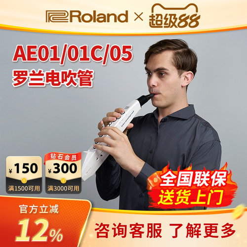 罗兰AE01C电吹管Roland