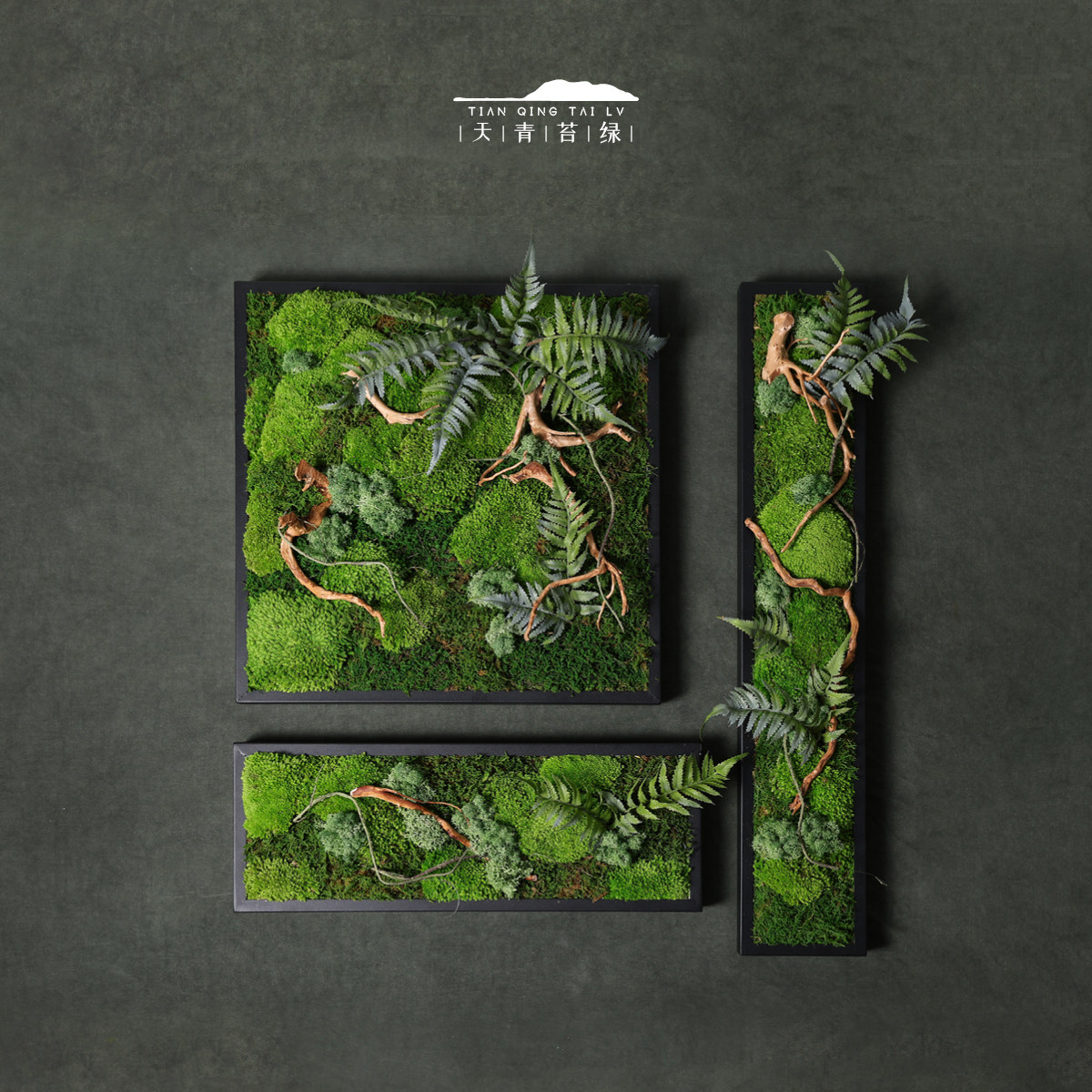天青苔绿 中式永生苔藓植物 可挂室内墙面架空层走廊玄关茶室摆件,家居饰品,装饰摆件,淘宝优惠券,粉丝福利购,淘宝优惠卷