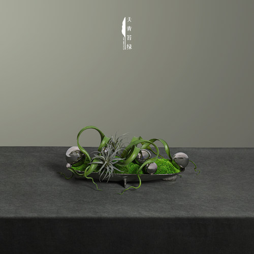 金属永生苔藓书柜展示柜装饰摆件