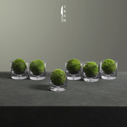 天青苔绿 现代新中式玻璃花器永生苔藓球 样板间茶几展柜书桌摆件