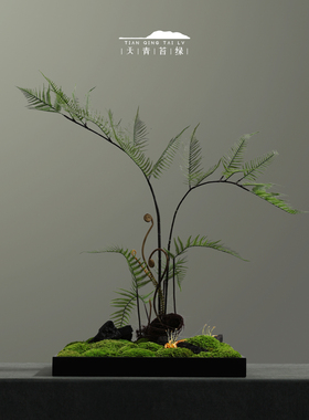 新中式永生苔藓仿真蕨类摆设