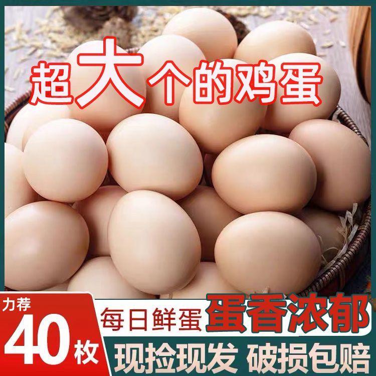 新鲜土鸡蛋大个虫草正宗生态农家散养五谷鲜自养鸡蛋40枚批发