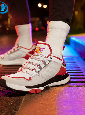 Adidas/阿迪达斯 TERREX 男女户外休闲徒步鞋 FY1546 FY9707