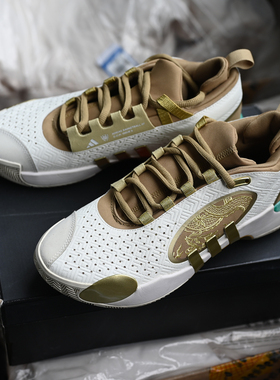 Adidas/阿迪达斯 D.O.N. Issue 5 男子防滑耐磨实战篮球鞋 IH7517