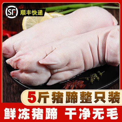 新鲜前蹄生鲜猪蹄4斤装