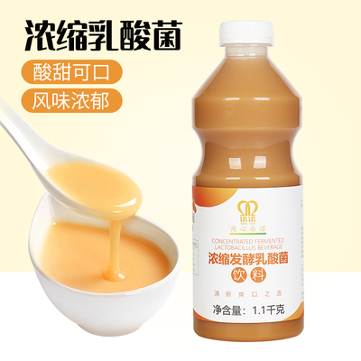航帆铭诺浓缩奶茶店专用发酵乳
