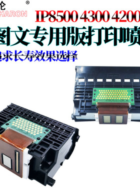 适用佳能iP8600 IP8500 I9950 I9900 Pro9000 9100 IP4200 MP530 MP500 IP4300打印头IP5200 MP600 MP830喷头