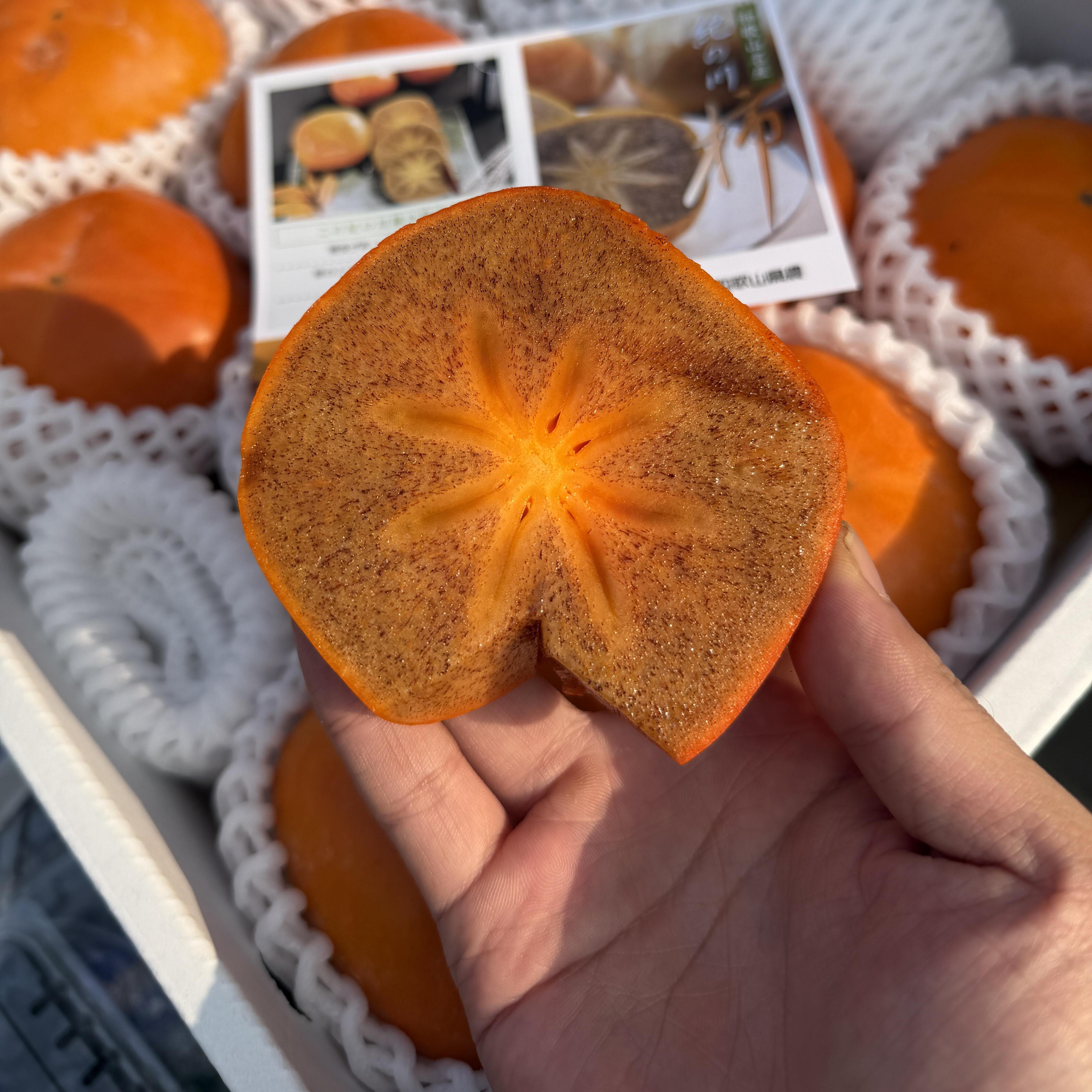 和歌山黑糖柿黑甘柿黑金脆甜柿