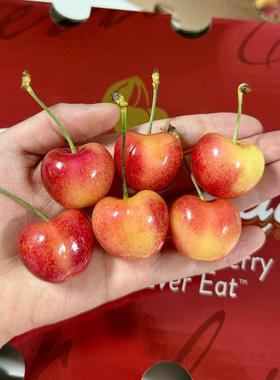 现货4J智利斯凯拉雷黄金车厘子Skylar Rae礼盒新鲜孕妇天空之城