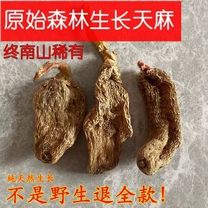Китайские травяные лекарства Gastrodia elata специального сорта дикие сырые горы Чжуннань выкопали, чем Шэннунцзя и Юньнань Сухие продукты Gastrodia elata могут быть порошкообразными таблетками без серы