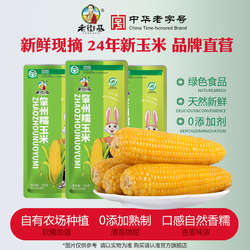 老街基肇州甜糯玉米粘苞米黄糯玉米真空包装东北特产2024新货包邮