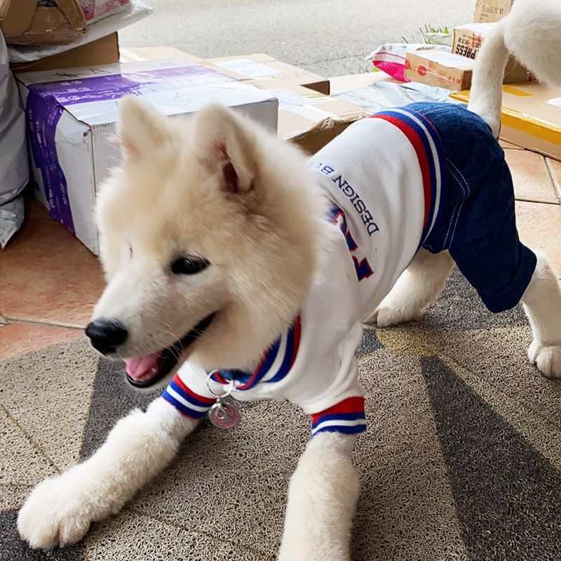 狗狗衣服秋冬款萨摩耶中型大型犬冬季大狗拉布拉多狗巨贵四脚宠物