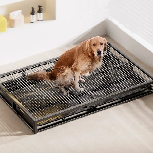 狗厕所大型犬定点排便神器