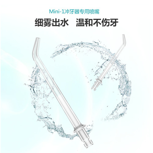 ROAMAN/罗曼MINI1冲牙器原装替换喷嘴两支装