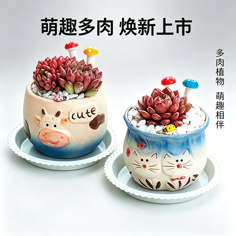 萌趣多肉植物卡通花盆办公桌桌面装饰陶瓷栽培可爱小盆栽含盆带土