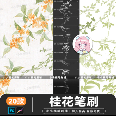 古风桂花procreate笔刷花卉植物手绘淡雅花枝花瓣线稿ps笔刷素材