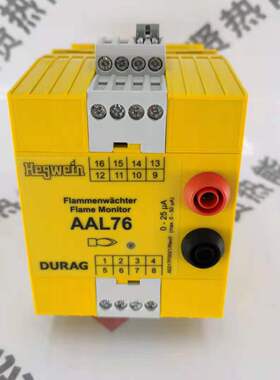 德国杜拉格Durag火焰检测器 AAL76POI/000 现货