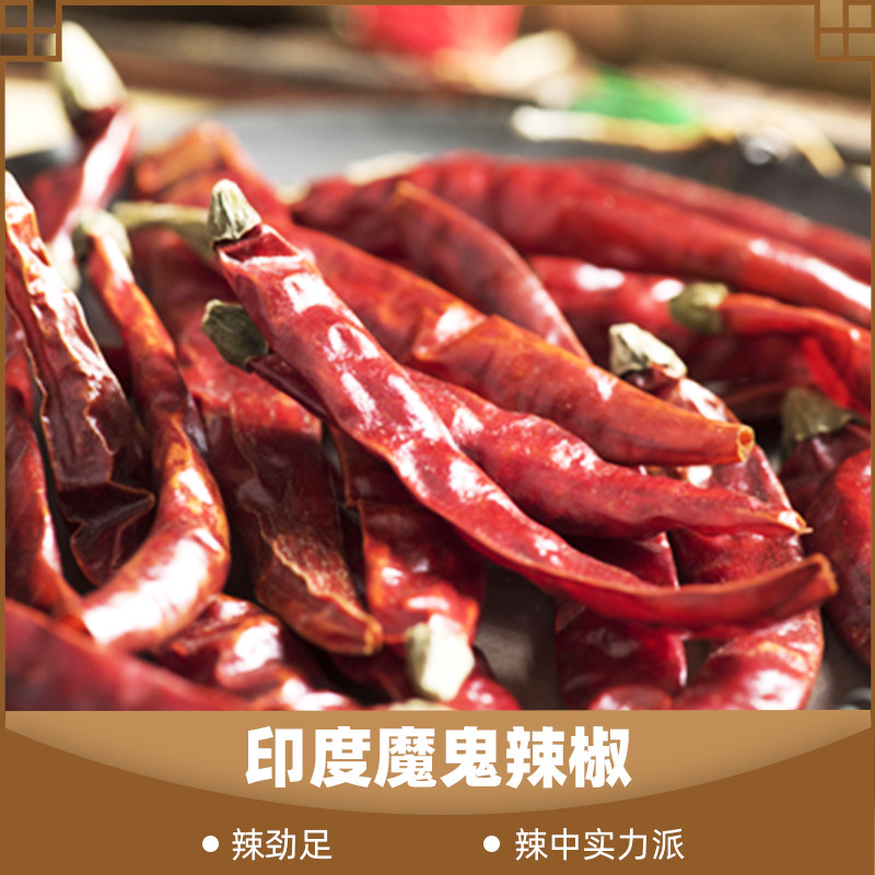印度魔鬼辣椒干辣椒特辣超辣椒王涮涮辣变态辣油泼辣子 250克