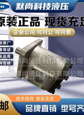 大众液压泵总成SDH齿轮泵CBF-E410/416/425/428/432/440L高压油泵