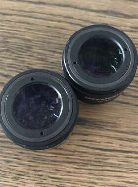 OLYMPUS奥林巴斯WHN10X-H/22显微镜10倍目镜一对