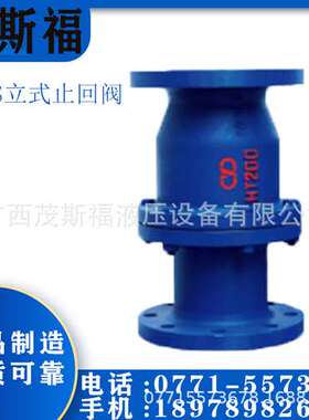 H42S立式止回阀 法兰铸铁/立卧两用止回阀 HT200