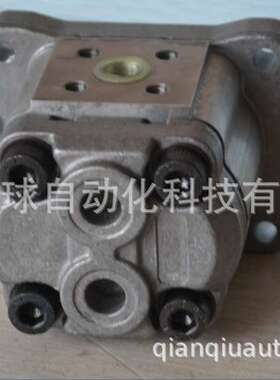 意大利 RONZIO 罗茨 齿轮泵 01ZAG42C406DN  正品 现货