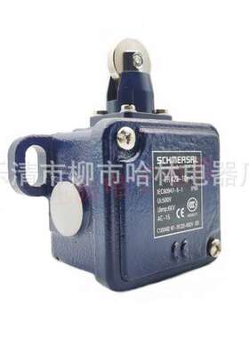 限位行程开关TD422-01Y-U180-2512-6 TR422-10Y-T-PG TR422-01Y-T