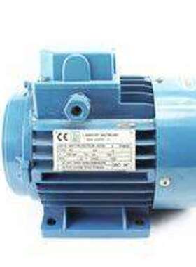 法国Lambert Moteurs电机 GMKP440-3-30传感器MXD-AS