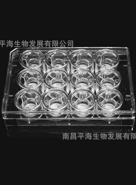 14201 细胞培养小室含12孔板(PC膜12mm孔径0.1μm)