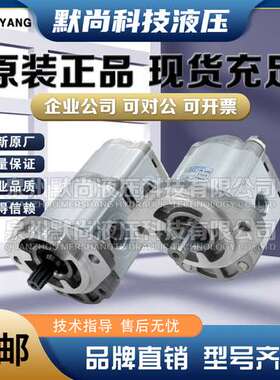 韩国油泵JOYANG齿轮泵 JP10-1.2 JP20-4.8/6.5 JP30-12/19液压泵