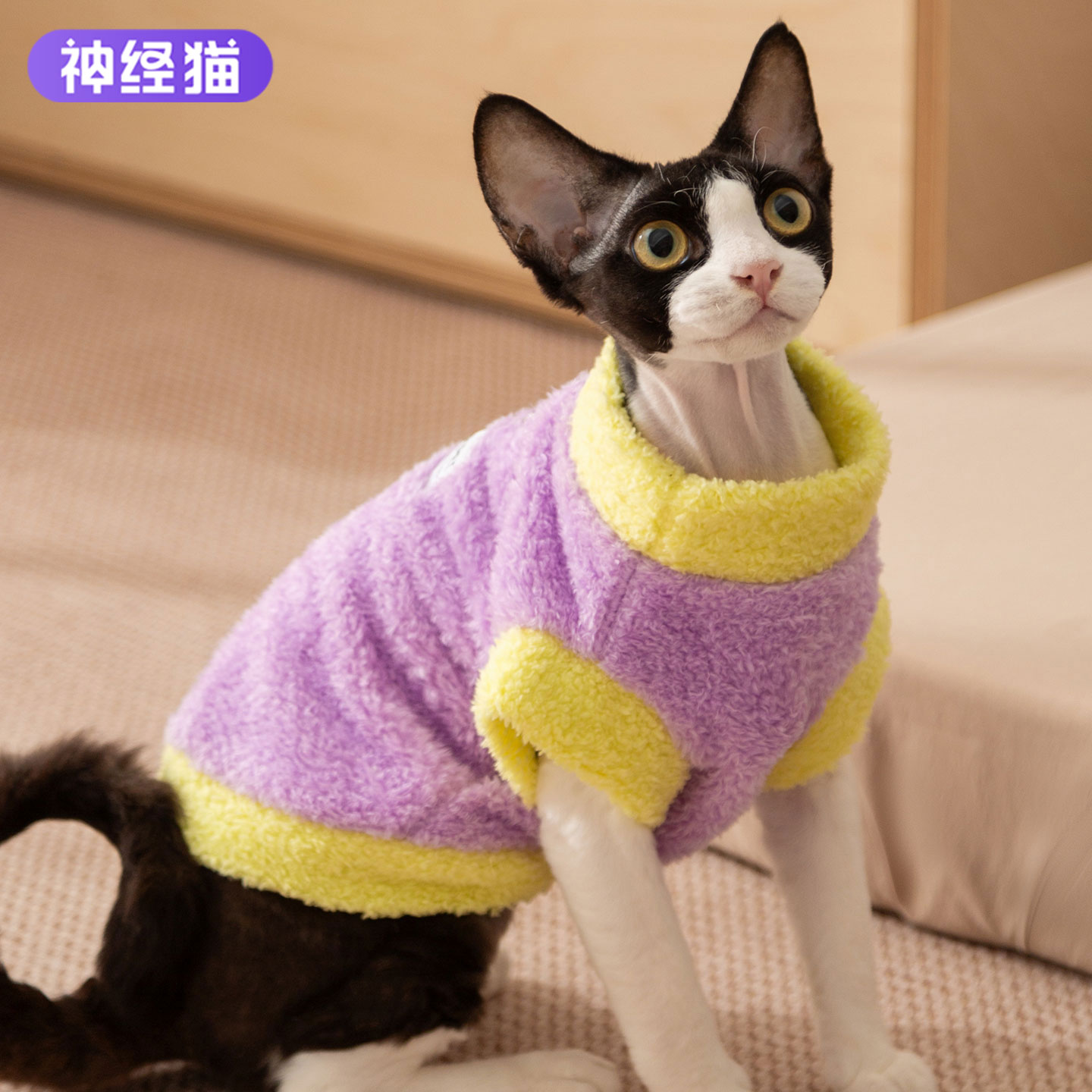 猫咪衣服绒衣冬季保暖毛衣