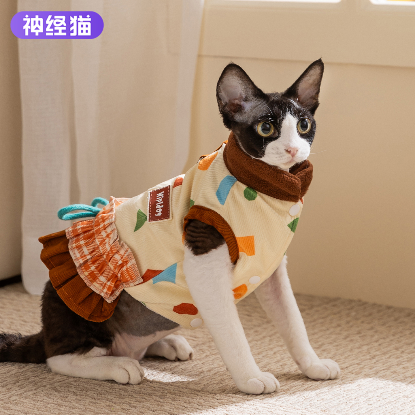猫咪衣服冬天保暖连衣裙