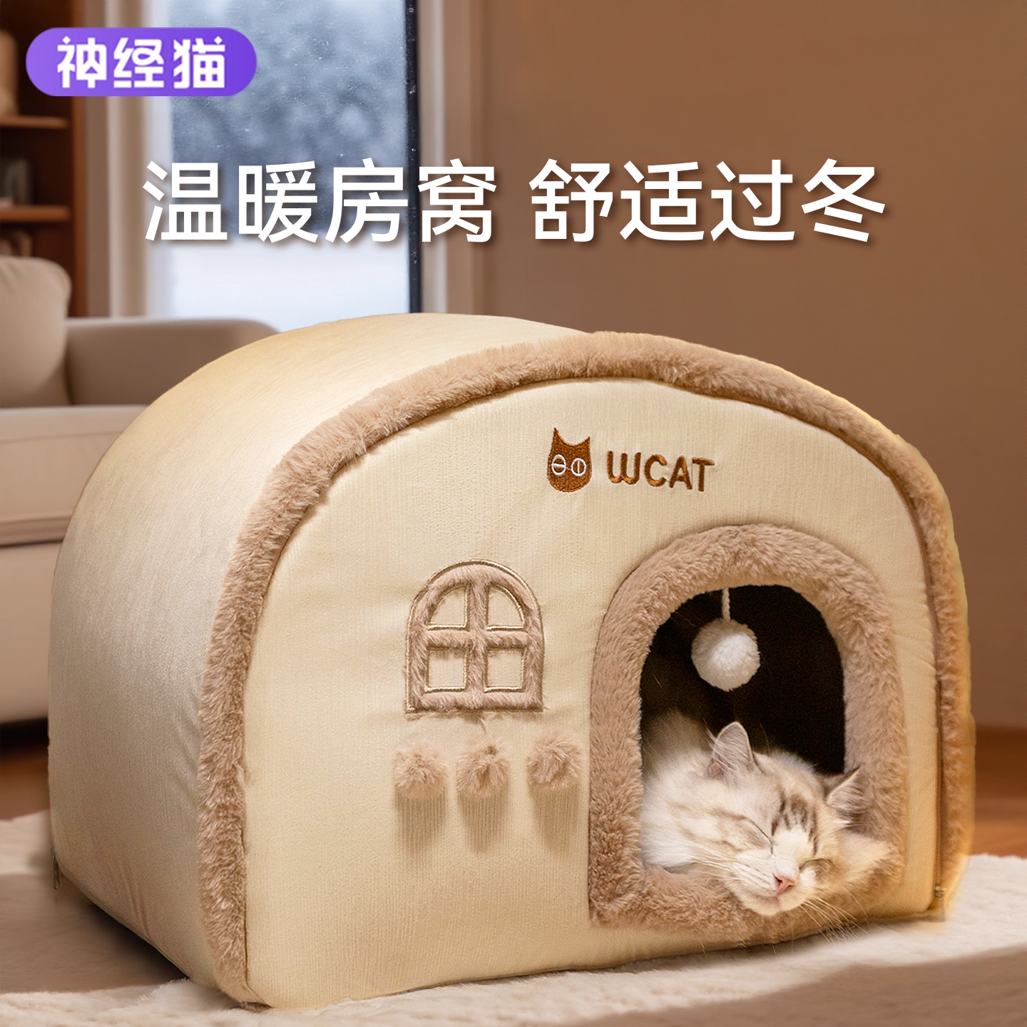 毛孩冬季刚需！猫咪暖睡不肯挪窝