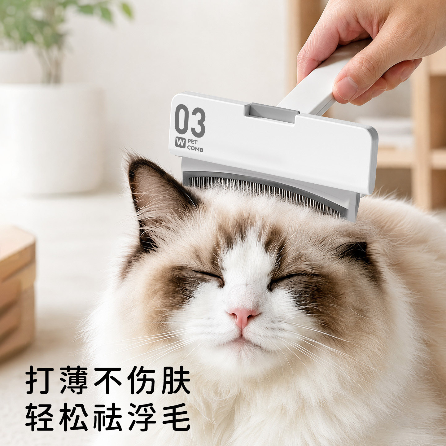 全新升级!新一代猫狗去浮毛神器